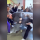 Tensions Flare As Anti-Racism Protest At San Bernardino High School‎ Takes A Chaotic Turn