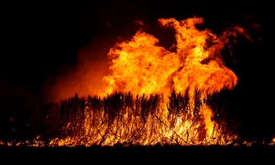 A Fight Against The Effects‎ Of Sugarcane Burning By Florida's‎ Generation Z
