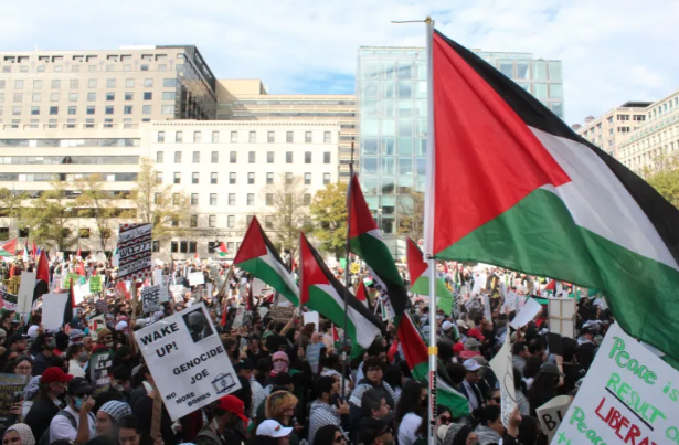 DC Protests Decry Violence in Israel War